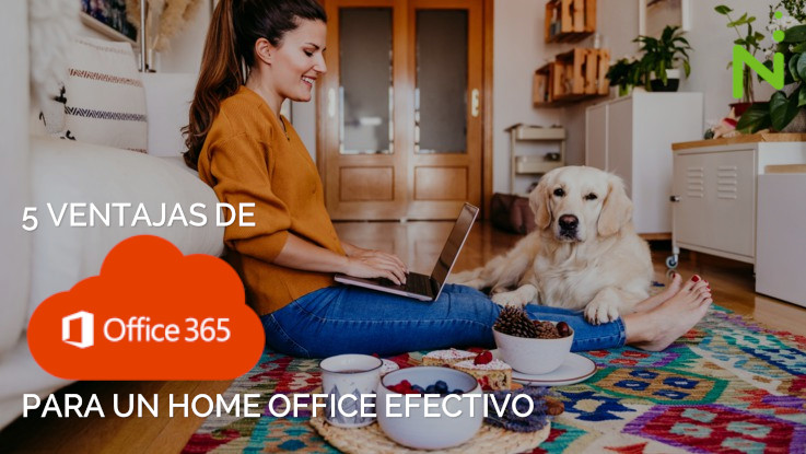 5 ventajas de Office 365 para un Home Office Efectivo - Nephos IT